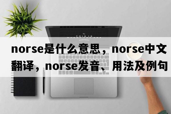 norse是什么意思，norse中文翻譯，norse發(fā)音、用法及例句