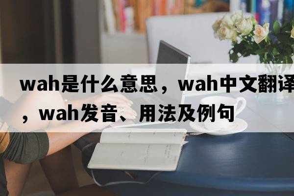 wah是什么意思，wah中文翻譯，wah發(fā)音、用法及例句
