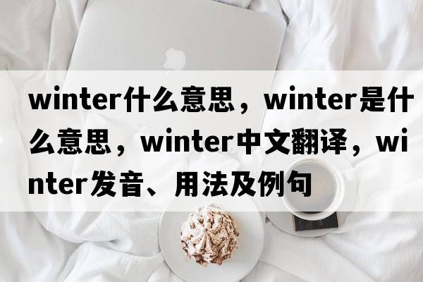 winter什么意思，winter是什么意思，winter中文翻譯，winter發(fā)音、用法及例句