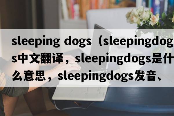 sleeping dogs（sleepingdogs中文翻譯，sleepingdogs是什么意思，sleepingdogs發(fā)音、用法及例句）