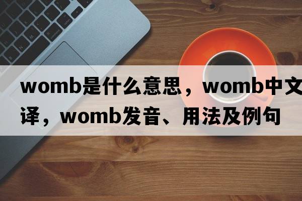 womb是什么意思，womb中文翻譯，womb發(fā)音、用法及例句