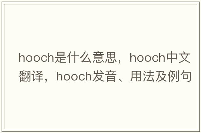 hooch是什么意思，hooch中文翻譯，hooch發(fā)音、用法及例句
