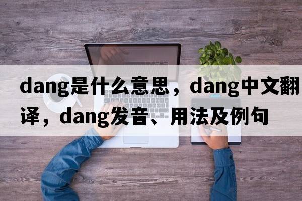 dang是什么意思，dang中文翻譯，dang發(fā)音、用法及例句