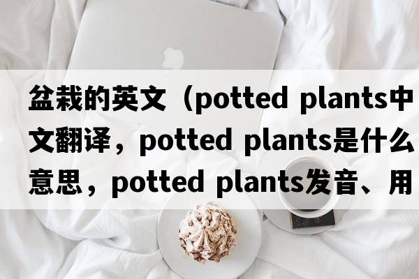 盆栽的英文（potted plants中文翻譯，potted plants是什么意思，potted plants發(fā)音、用法及例句）