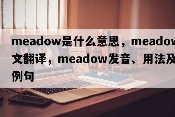 meadow是什么意思，meadow中文翻譯，meadow發(fā)音、用法及例句