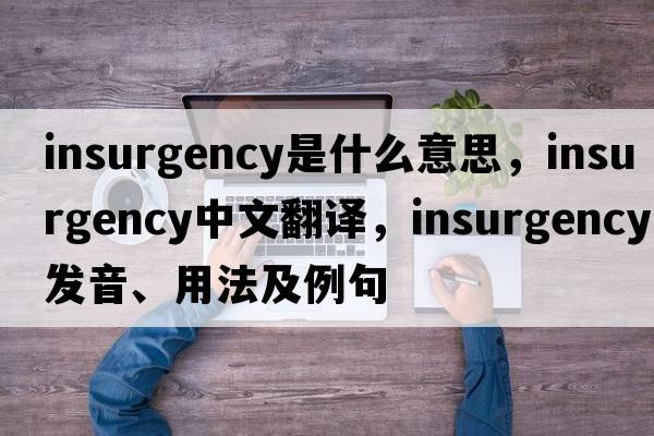 insurgency是什么意思，insurgency中文翻譯，insurgency發(fā)音、用法及例句