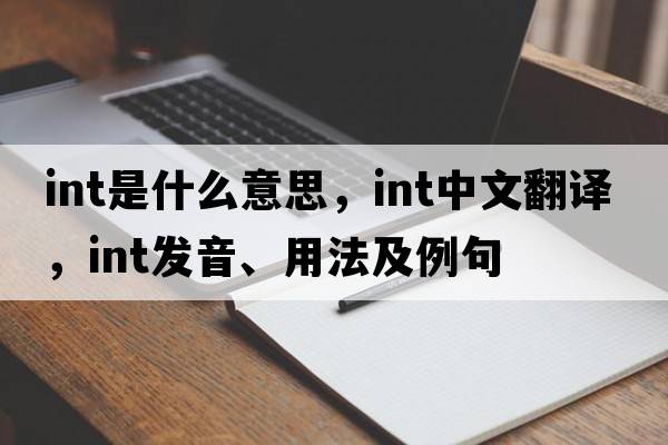 INT是什么意思，INT中文翻譯，INT發(fā)音、用法及例句