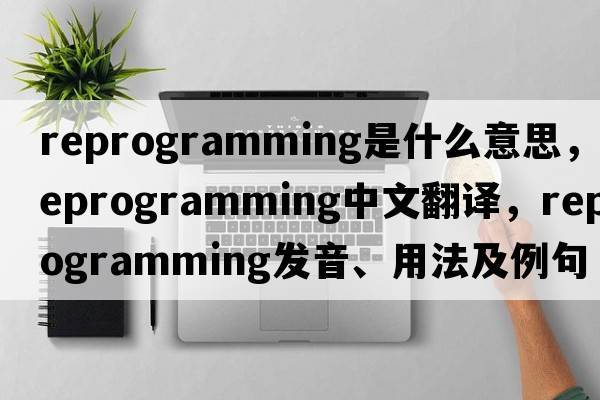 reprogramming是什么意思，reprogramming中文翻譯，reprogramming發(fā)音、用法及例句