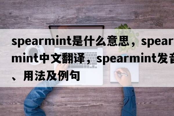 spearmint是什么意思，spearmint中文翻譯，spearmint發(fā)音、用法及例句