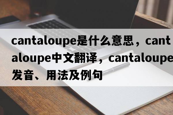 cantaloupe是什么意思，cantaloupe中文翻譯，cantaloupe發(fā)音、用法及例句