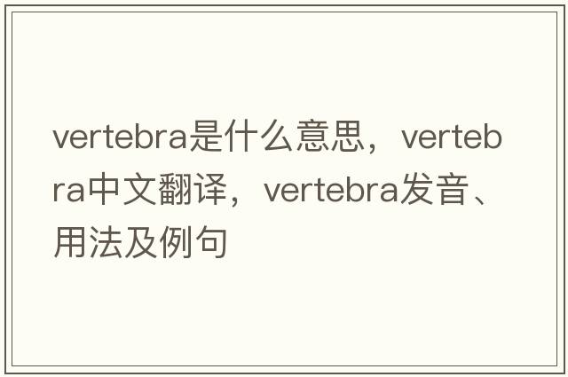 vertebra是什么意思，vertebra中文翻譯，vertebra發(fā)音、用法及例句
