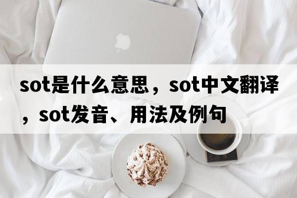 sot是什么意思，sot中文翻譯，sot發(fā)音、用法及例句