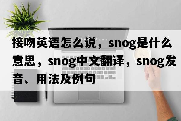 接吻英語(yǔ)怎么說(shuō)，snog是什么意思，snog中文翻譯，snog發(fā)音、用法及例句
