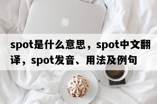 spot是什么意思，spot中文翻譯，spot發(fā)音、用法及例句