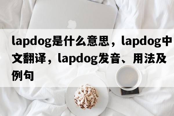 lapdog是什么意思，lapdog中文翻譯，lapdog發(fā)音、用法及例句