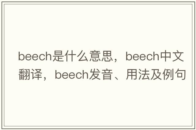 beech是什么意思，beech中文翻譯，beech發(fā)音、用法及例句