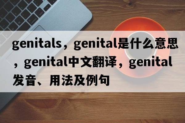 genitals，genital是什么意思，genital中文翻譯，genital發(fā)音、用法及例句
