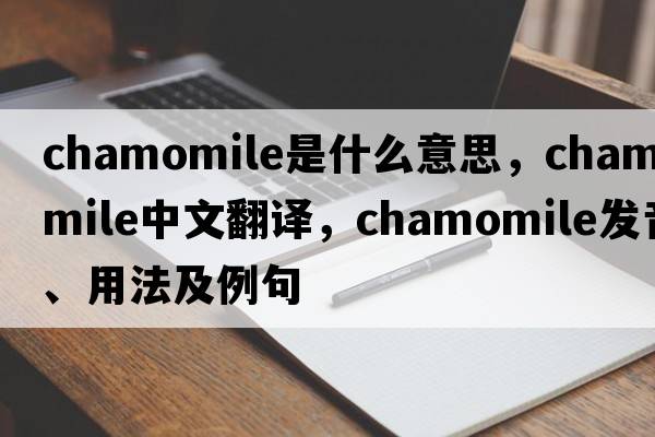 chamomile是什么意思，chamomile中文翻譯，chamomile發(fā)音、用法及例句