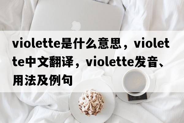 Violette是什么意思，Violette中文翻譯，Violette發(fā)音、用法及例句