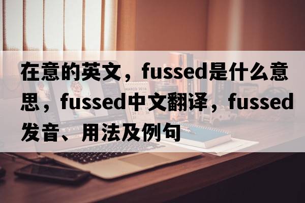 在意的英文，fussed是什么意思，fussed中文翻譯，fussed發(fā)音、用法及例句