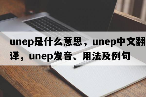 UNEP是什么意思，UNEP中文翻譯，UNEP發(fā)音、用法及例句