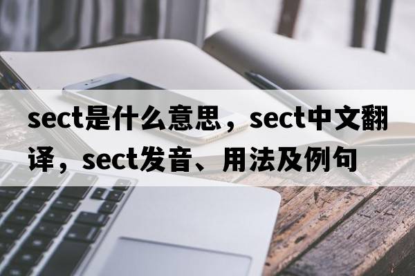 sect是什么意思，sect中文翻譯，sect發(fā)音、用法及例句