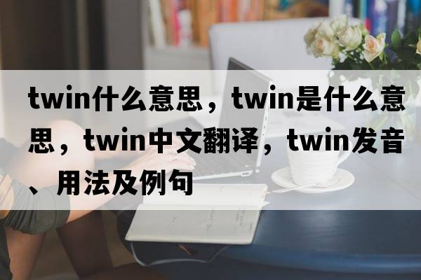 twin什么意思，twin是什么意思，twin中文翻譯，twin發(fā)音、用法及例句