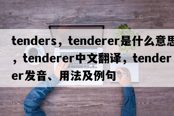 tenders，tenderer是什么意思，tenderer中文翻譯，tenderer發(fā)音、用法及例句