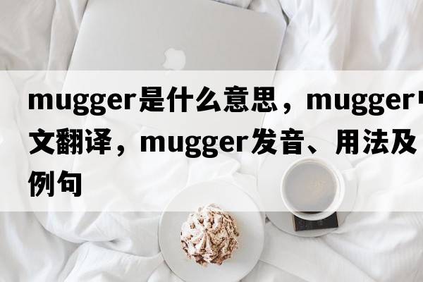 mugger是什么意思，mugger中文翻譯，mugger發(fā)音、用法及例句