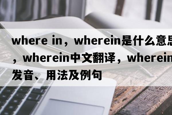 where in，wherein是什么意思，wherein中文翻譯，wherein發(fā)音、用法及例句