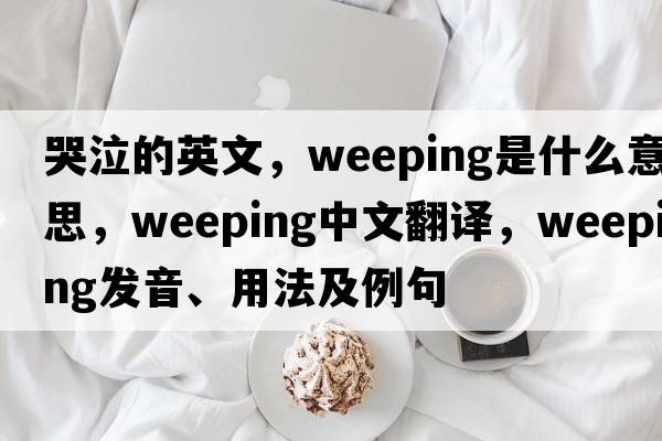 哭泣的英文，weeping是什么意思，weeping中文翻譯，weeping發(fā)音、用法及例句