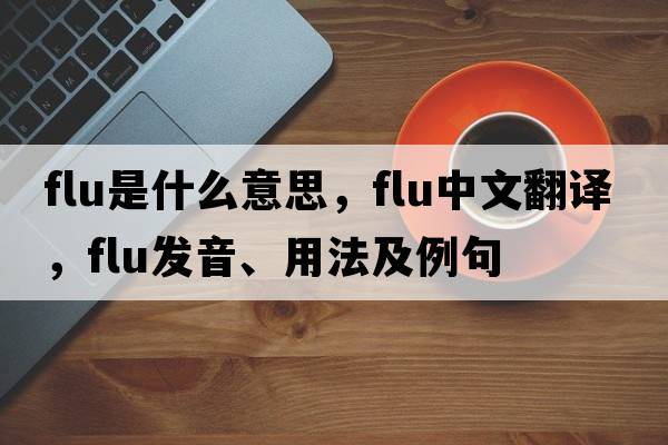 flu是什么意思，flu中文翻譯，flu發(fā)音、用法及例句