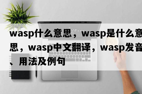 wasp什么意思，wasp是什么意思，wasp中文翻譯，wasp發(fā)音、用法及例句