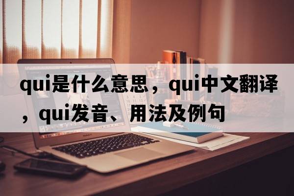 qui是什么意思，qui中文翻譯，qui發(fā)音、用法及例句