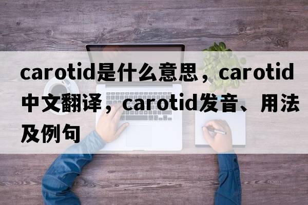 carotid是什么意思，carotid中文翻譯，carotid發(fā)音、用法及例句