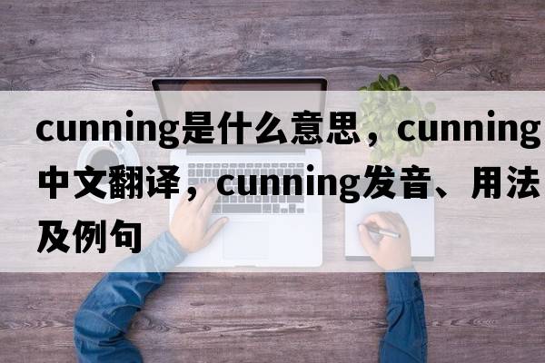 cunning是什么意思，cunning中文翻譯，cunning發(fā)音、用法及例句