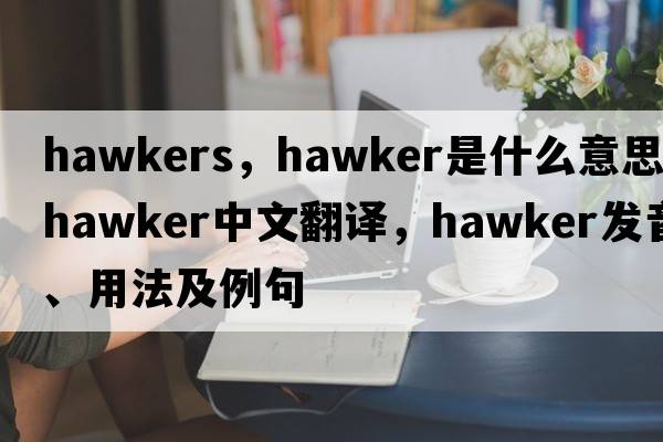 hawkers，hawker是什么意思，hawker中文翻譯，hawker發(fā)音、用法及例句
