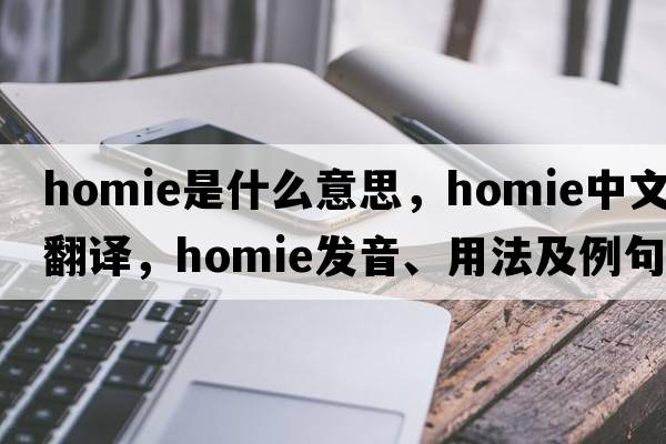 homie是什么意思，homie中文翻譯，homie發(fā)音、用法及例句