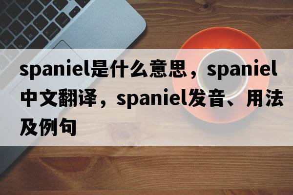 spaniel是什么意思，spaniel中文翻譯，spaniel發(fā)音、用法及例句