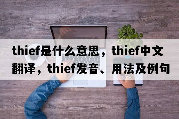 thief是什么意思，thief中文翻譯，thief發(fā)音、用法及例句