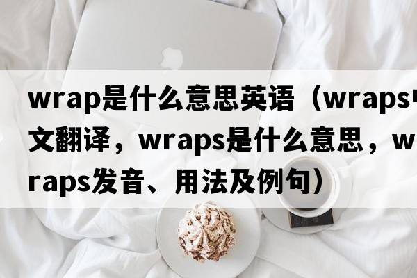 wrap是什么意思英語(yǔ)（wraps中文翻譯，wraps是什么意思，wraps發(fā)音、用法及例句）