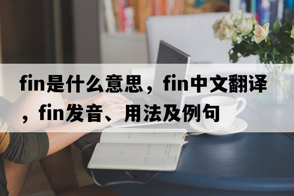 fin是什么意思，fin中文翻譯，fin發(fā)音、用法及例句
