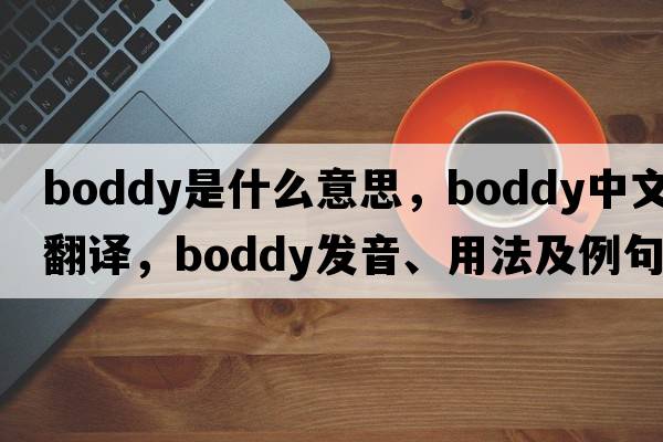 Boddy是什么意思，Boddy中文翻譯，Boddy發(fā)音、用法及例句