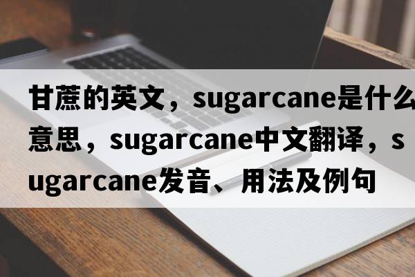 甘蔗的英文，sugarcane是什么意思，sugarcane中文翻譯，sugarcane發(fā)音、用法及例句