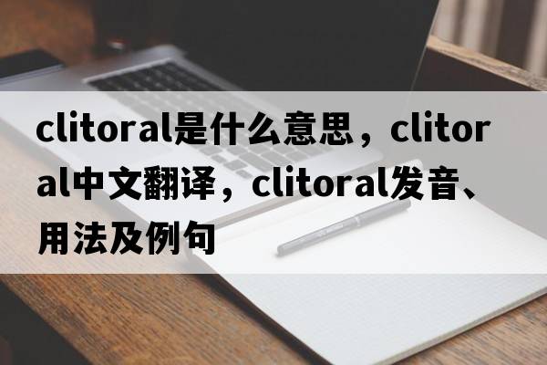 clitoral是什么意思，clitoral中文翻譯，clitoral發(fā)音、用法及例句
