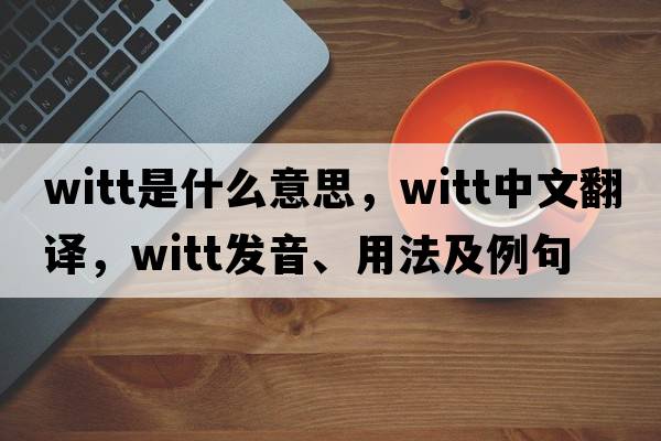 witt是什么意思，witt中文翻譯，witt發(fā)音、用法及例句