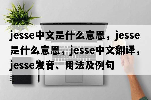 jesse中文是什么意思，Jesse是什么意思，Jesse中文翻譯，Jesse發(fā)音、用法及例句