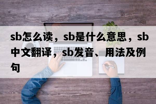 sb怎么讀，SB是什么意思，SB中文翻譯，SB發(fā)音、用法及例句