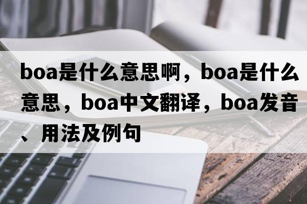 boa是什么意思啊，boa是什么意思，boa中文翻譯，boa發(fā)音、用法及例句