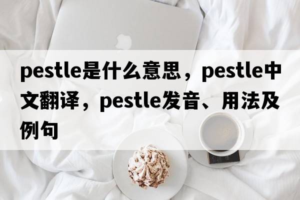 pestle是什么意思，pestle中文翻譯，pestle發(fā)音、用法及例句